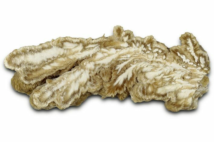 Polished Barite Slab - Lubin Mine, Poland #348886